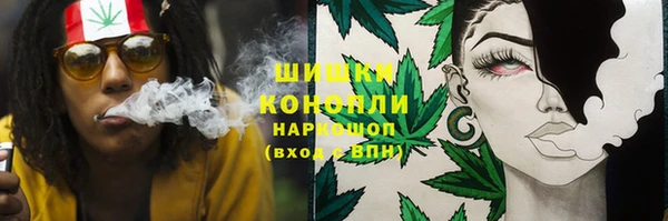 гидра Армянск