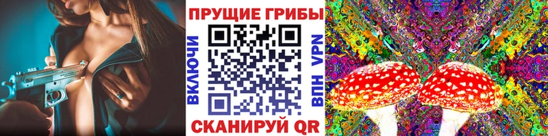 Купить Муром Галлюциногенные грибы мухоморы
